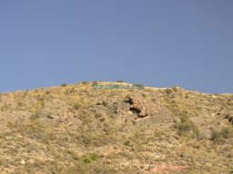Castillo de Alhama 2008